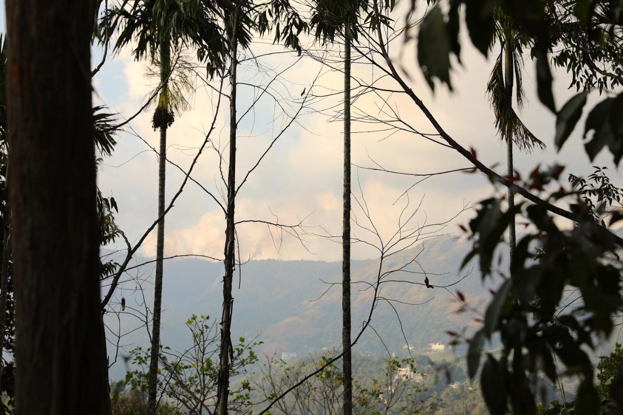 Jade Munnar - Boutique Resort Devikolam Exterior photo